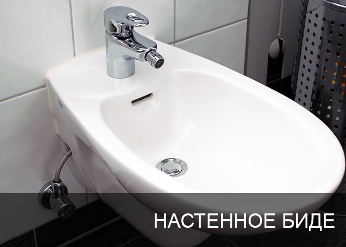 ���� ���������