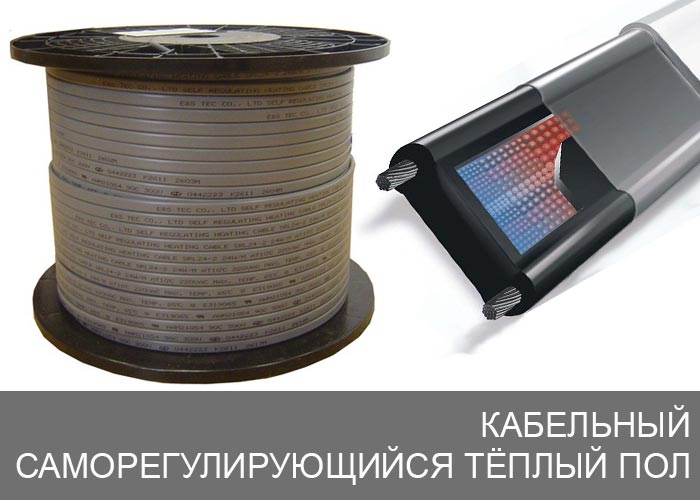 ��������� ������������������ ����� ���