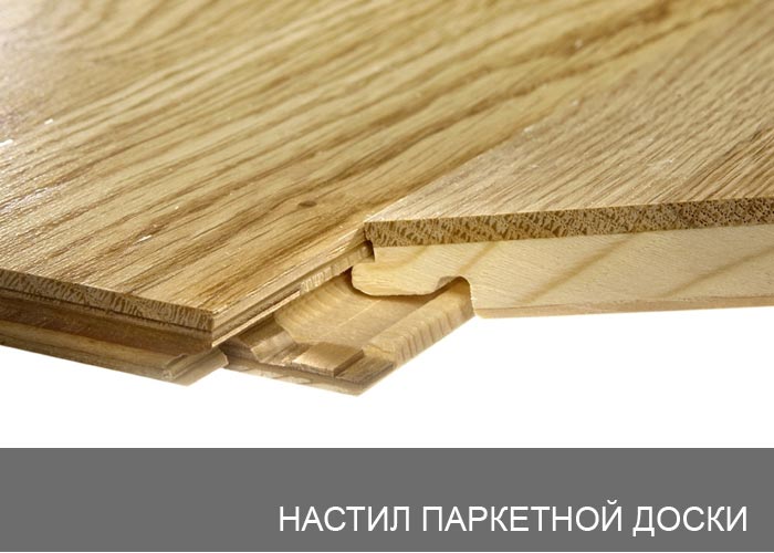 ������ ��������� �����