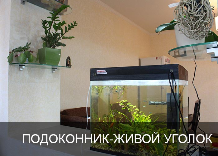 ����������-����� ������