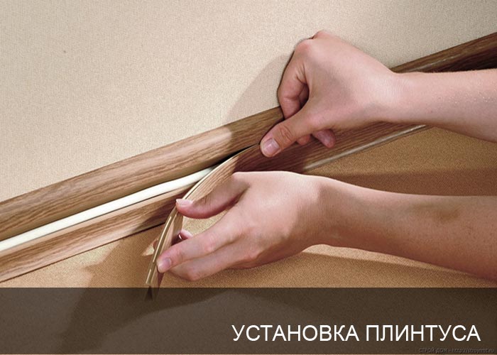 ��������� ��������