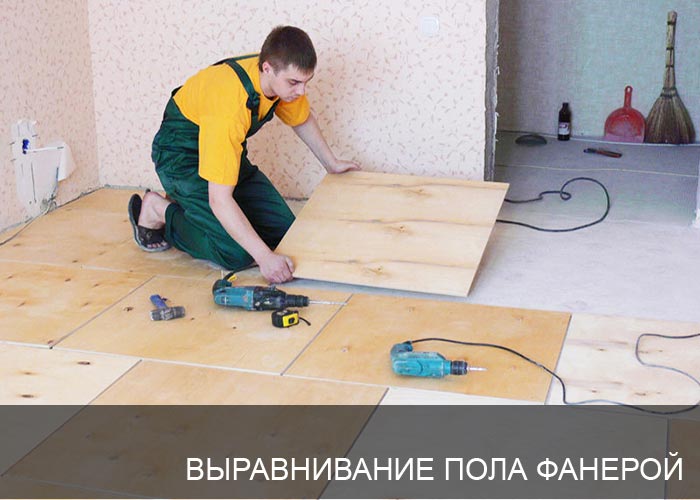 ������������ ���� �������